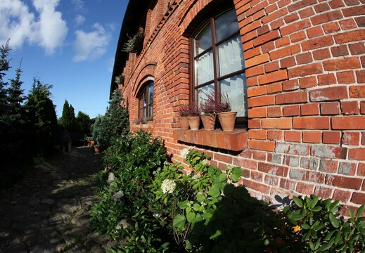 IMG 4908