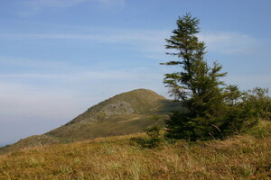 IMG 5294