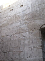 IMG 0144