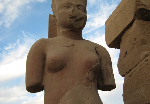 IMG 0154