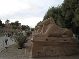 IMG 0167