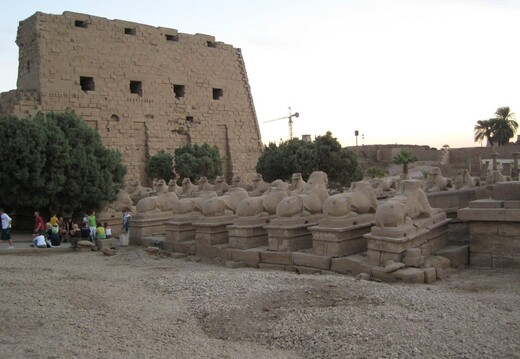 IMG 0168