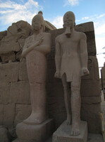 IMG 0164