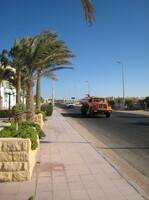 IMG 0194