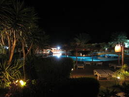 IMG 0359