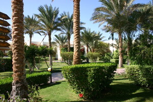 IMG 7653