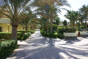 IMG 7589