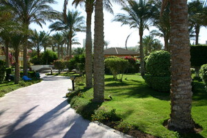 IMG 7591