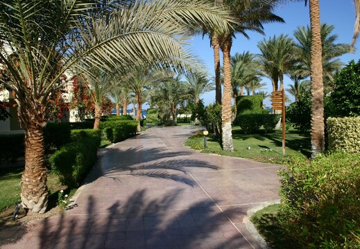 IMG 7596