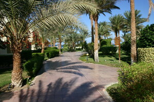 IMG 7596