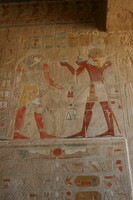 IMG 7761