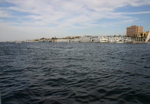 IMG 7785
