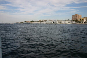 IMG 7785