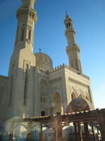 IMG 0073