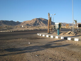 IMG 0095