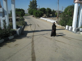 IMG 0100