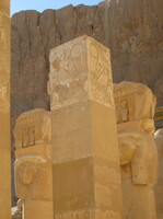 IMG 0118