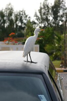 IMG 7948
