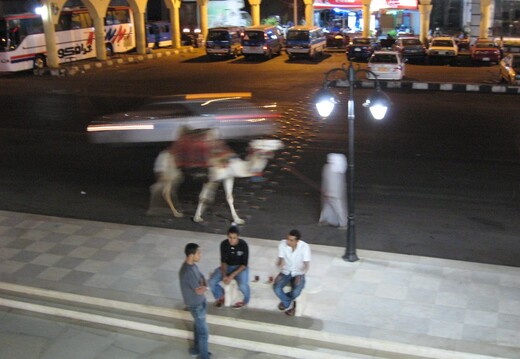 IMG 3374