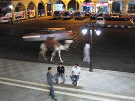 IMG 3374