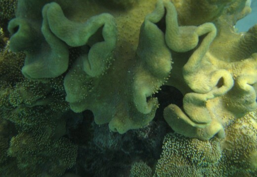 IMG 3449