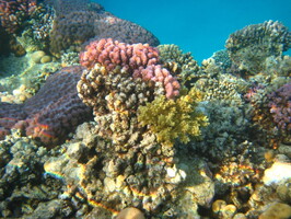 IMG 4041