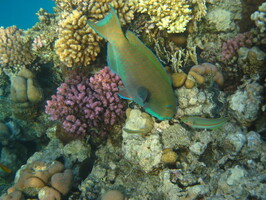 IMG 4049