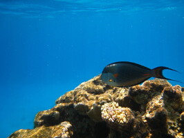 IMG 4170