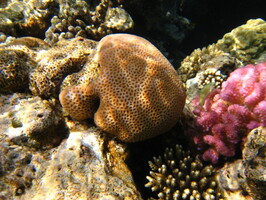 IMG 4182