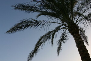IMG 8793