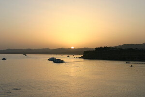 IMG 8819
