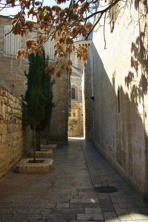 IMG_8096.JPG