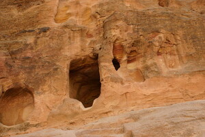 IMG 8558