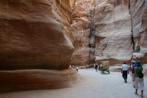 IMG 8587