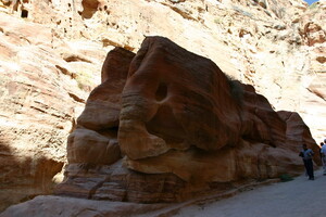 IMG 8567