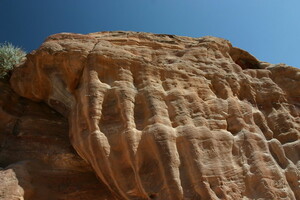 IMG 8656