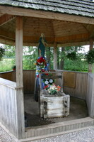 IMG 4987