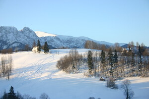 IMG 1400