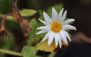 034