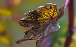 046