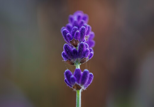 047
