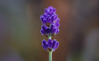 047