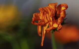 039