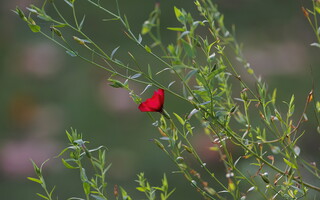 049-1