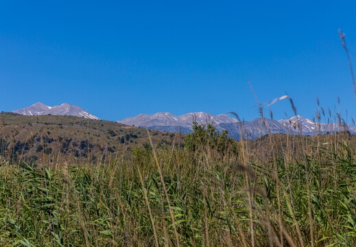 IMG 3600