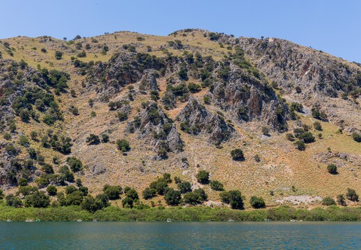IMG 3845