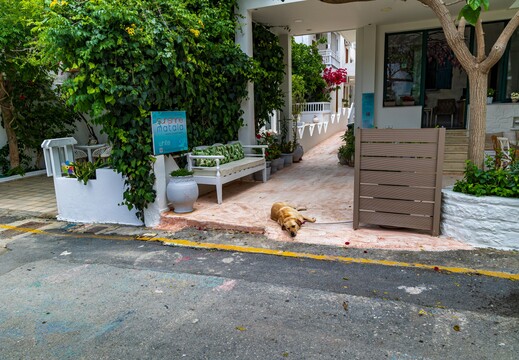 IMG 4454
