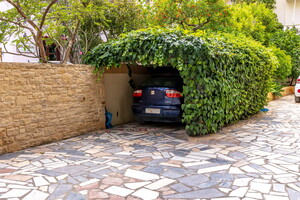 IMG 4543