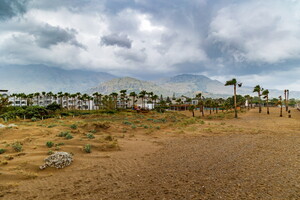 IMG 4577