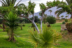 IMG 4681